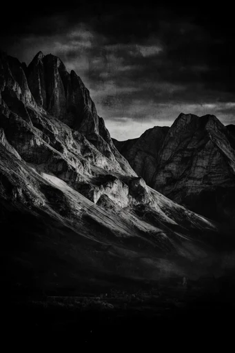 Visceral Monochromatic Noir style reference image — high contrast black and white