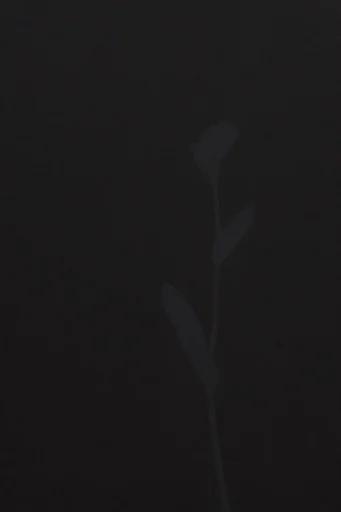 Atmospheric Charcoal Minimalism style reference image — stippled atmospheric grain