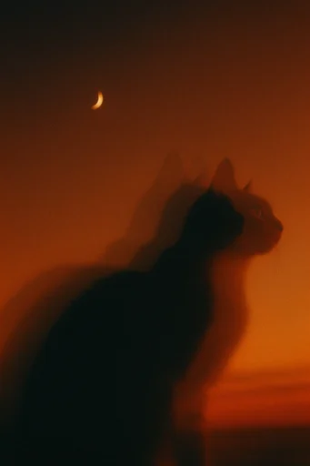 Amber Noir Motion style reference image — liminal noir