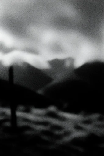 Gritty Monochromatic Noir style reference image — high-contrast monochrome