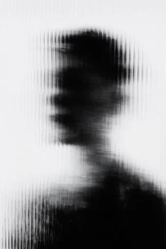 Monochrome Glitch Noir style reference image — digital decay