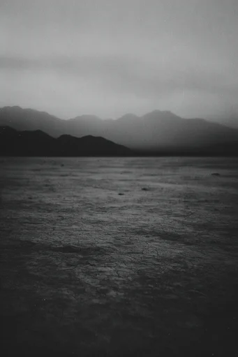 Monochrome Ethereal Noir style reference image — soft-focus bloom