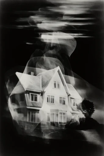 Monochromatic Avant-Garde Noir style AI image example 4