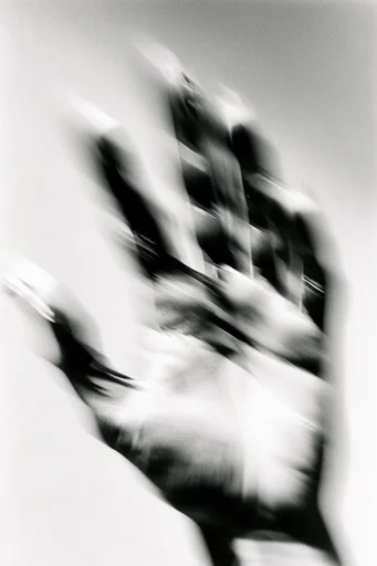 Monochrome Kinetic Glitch style reference image — stark black and white