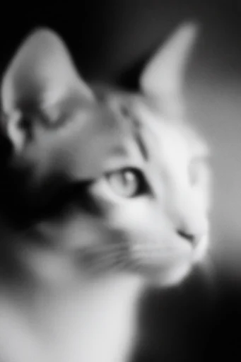Ethereal Noir Motion style reference image — dreamlike ethereal atmosphere
