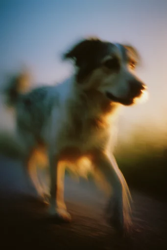 Luminous Analog Liminality style reference image — chromatic aberration