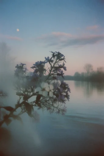 Ethereal Analog Haze style reference image — motion blur