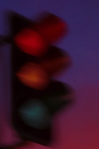 Ethereal Kinetic Minimalism style reference image — botanical abstraction