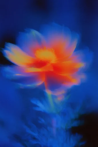 Kinetic Luminous Nocturne style reference image — chromatic aberration