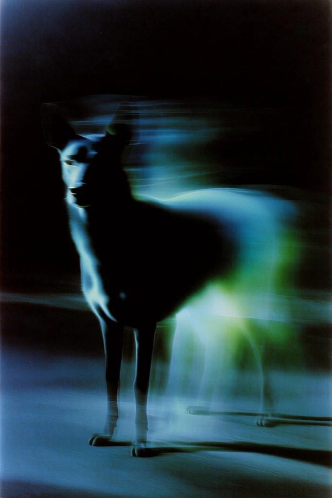 Spectral Nocturnal Motion style AI image example 3