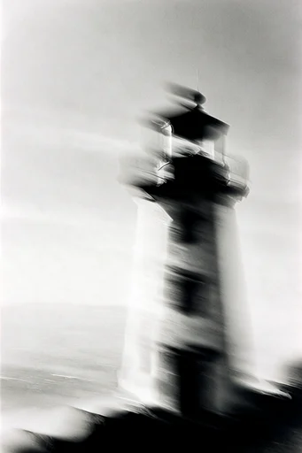 Ethereal Monochrome Motion style reference image — ethereal dreamscape