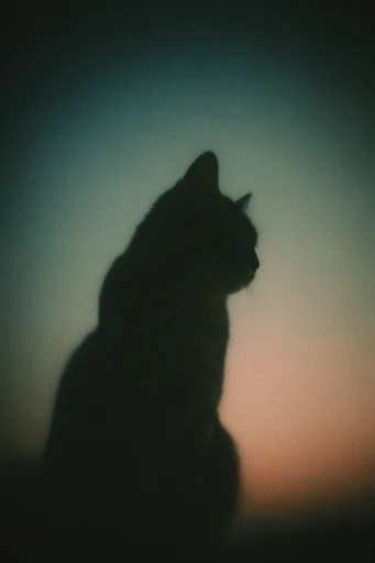 Atmospheric Twilight Nostalgia style reference image — soft focus