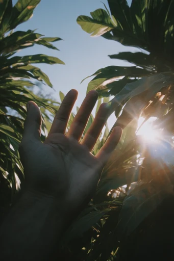 Luminous Natural Transcendence style reference image — intense lens flare