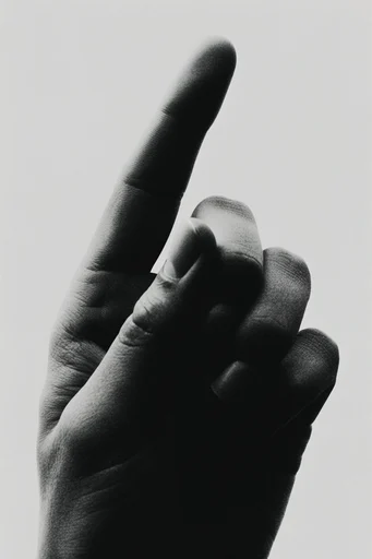Sculptural Monochrome Noir style reference image — high-contrast monochrome