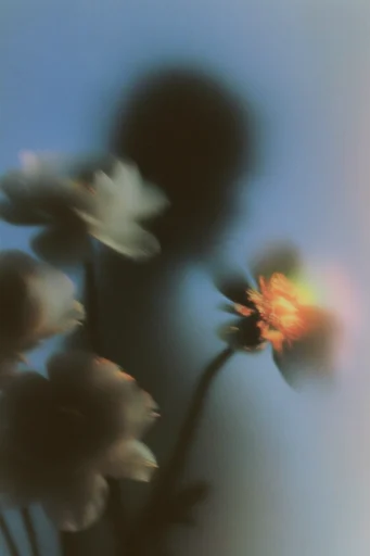 Spectral Analog Dreamscape style reference image — low fidelity