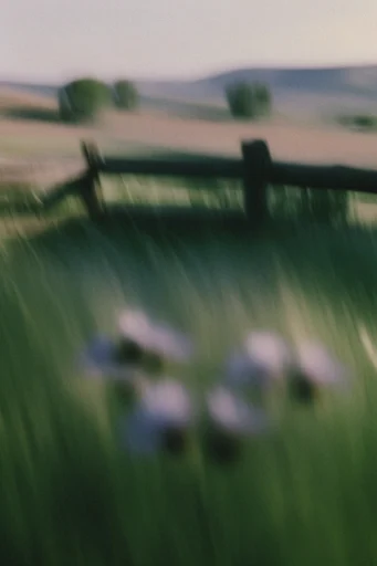 Kinetic Liminal Nostalgia style reference image — dreamlike atmosphere