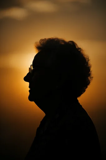 Luminous Amber Silhouette style reference image — high contrast