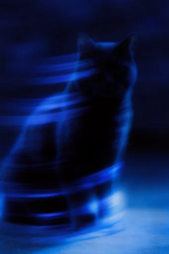 Monochromatic Ethereal Motion style reference image — cyanotype aesthetic
