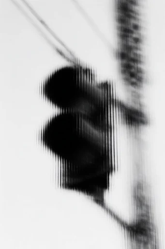 Monochrome Glitch Noir style reference image — pixel sorting