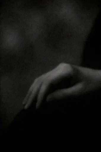 Nocturnal Monochrome Minimalist style reference image — heavy film grain
