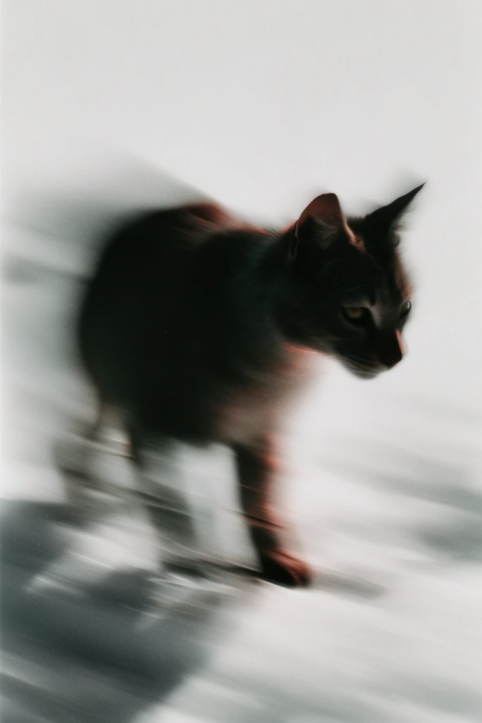 Ethereal Kinetic Minimalism style AI image example 3