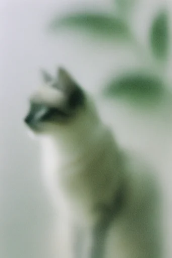 Ethereal Muted Haze style reference image — minimalist abstract composition