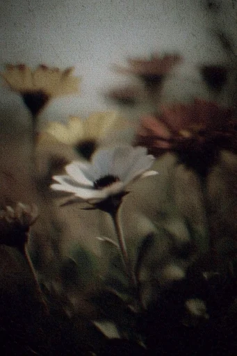 Nocturnal Lo-Fi Pictorialism style reference image — low-fidelity nostalgia