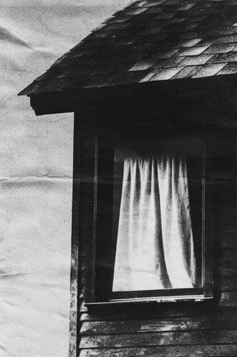 Gritty Monochromatic Noir style reference image — analog film grain