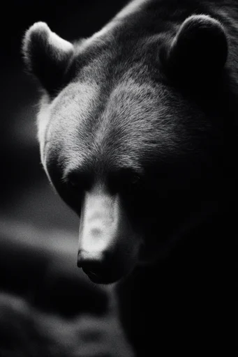 Cinematic Monochrome Surrealism style reference image — heavy analog film grain