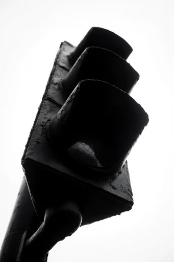 Graphic Avant-Garde Silhouette style reference image — stark high contrast