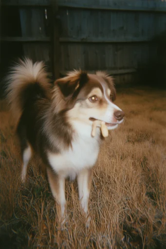 Analog Cinematic Nostalgia style reference image — candid snapshot quality