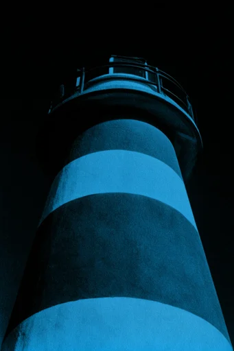 High-Contrast Neon Noir style reference image — stark rim lighting