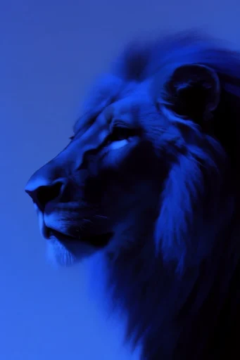 Ethereal Cobalt Nocturne style reference image — ethereal motion blur