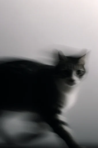 Ethereal Kinetic Motion style reference image — minimalist atmospheric composition