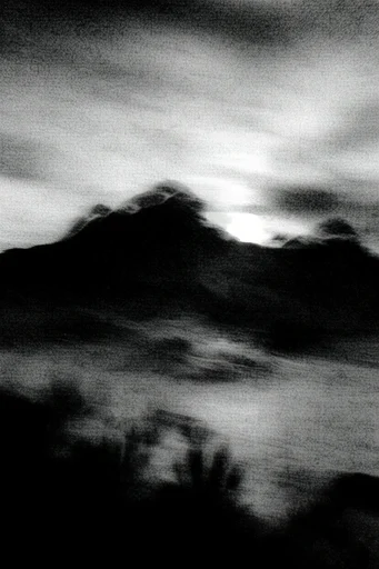 Submerged Noir Grain style reference image — high-contrast monochrome