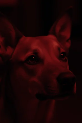 Cinematic Crimson Noir style reference image — saturated red light
