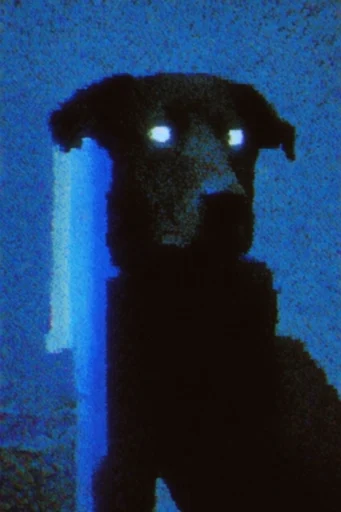 Luminous Spectral Noir style reference image — moody nocturnal atmosphere