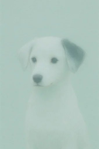 Ethereal Grain Minimalism style reference image — minimalist dreamscape