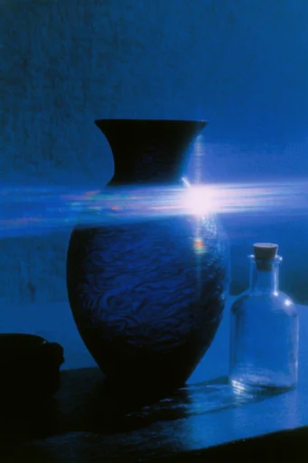 Nocturnal Bioluminescent Minimalism style reference image — deep indigo nightscape
