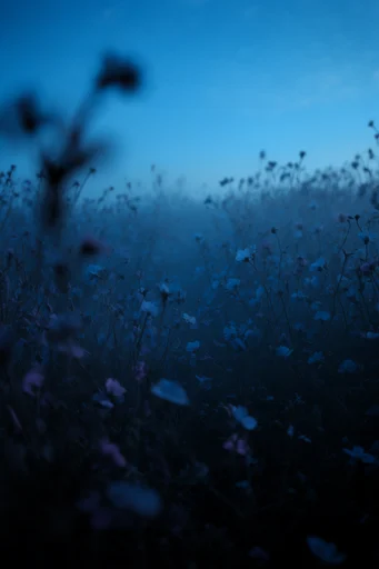 Nocturnal Pictorialist Mist style reference image — soft focus