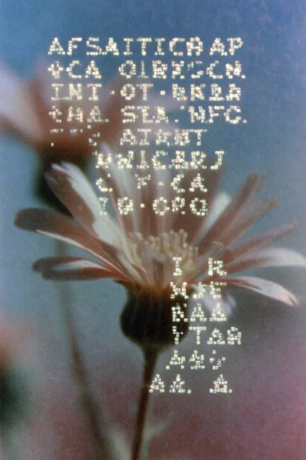 Analog Glitch Mysticism style reference image — surreal glitch art