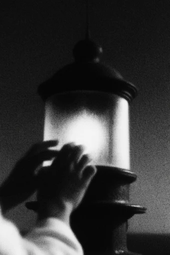 Gritty Noir Analog style reference image — distorted surrealism