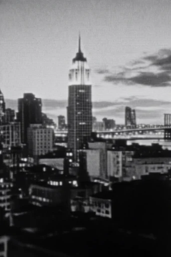 Analog Surveillance Noir style reference image — monochrome noir