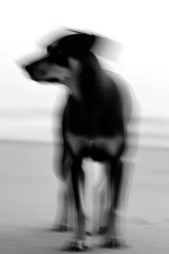 Spectral Kinetic Monochrome style reference image — cinematic noir atmosphere