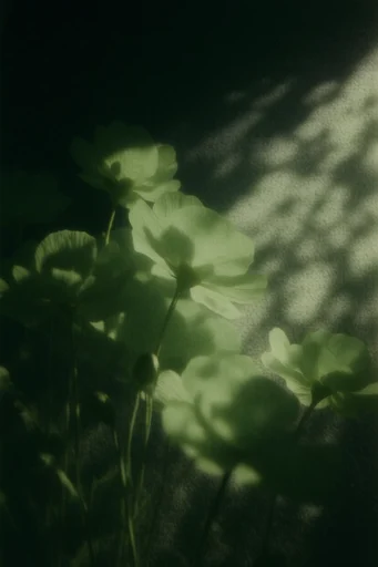 Hazy Nocturnal Tonalism style reference image — vintage lithograph style
