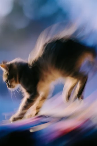 Dynamic Kinetic Velocity style reference image — abstracted action