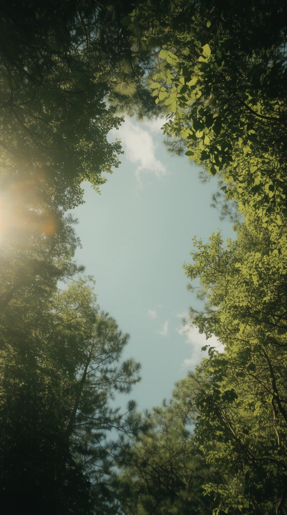 Low-angle perspective looking straight up through a lush green forest canopy framing a pale blue sky. Dense leaves and pine needles border the edges, creating an irregular central opening. Sunlight casts a soft lens flare on the left. Cinematic widescreen framing with a vintage color grade.