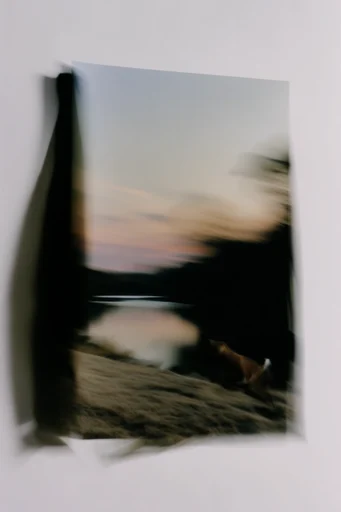 Ethereal Chiaroscuro Motion style AI image example 2