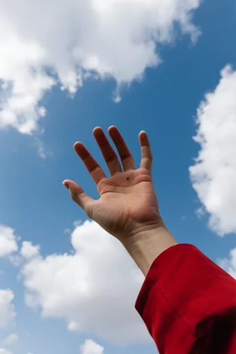 Dynamic Skyward Minimalism style reference image — forced perspective