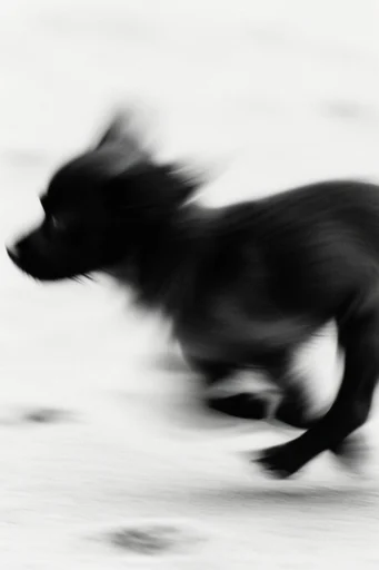 Kinetic Ghostly Monochrome style reference image — kinetic portraiture